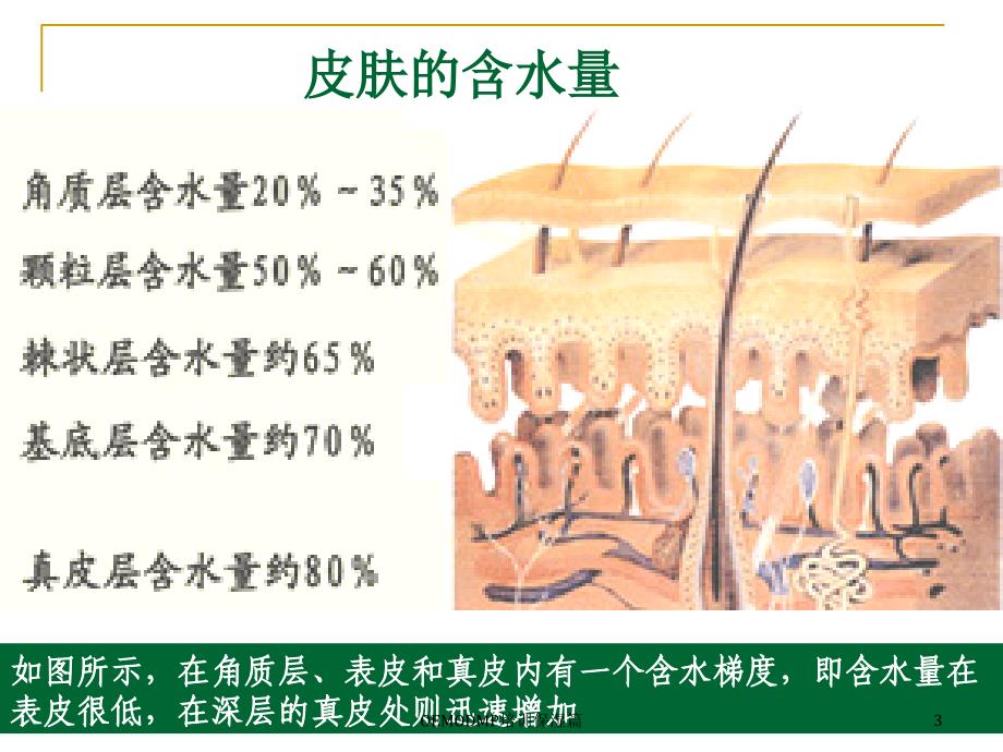 OEMODMP培训保湿篇课件_第3页