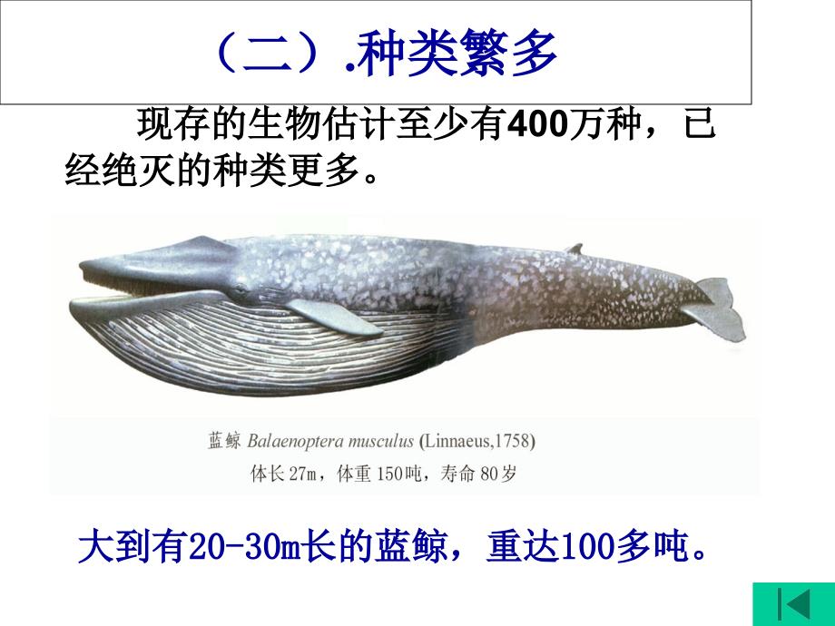 《生物的分类》课件_第4页