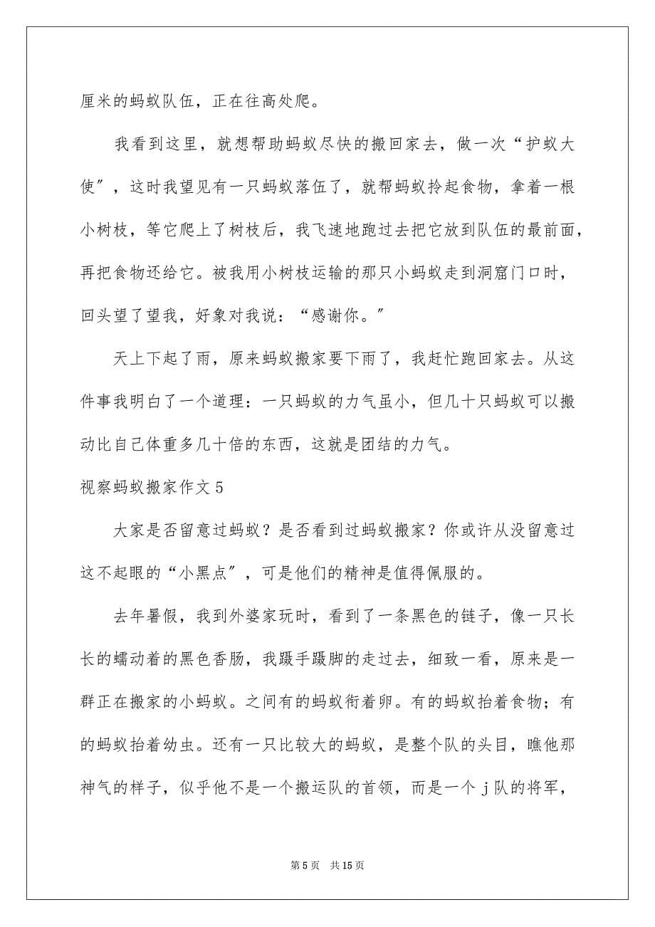 2023年观察蚂蚁搬家作文范文.docx_第5页