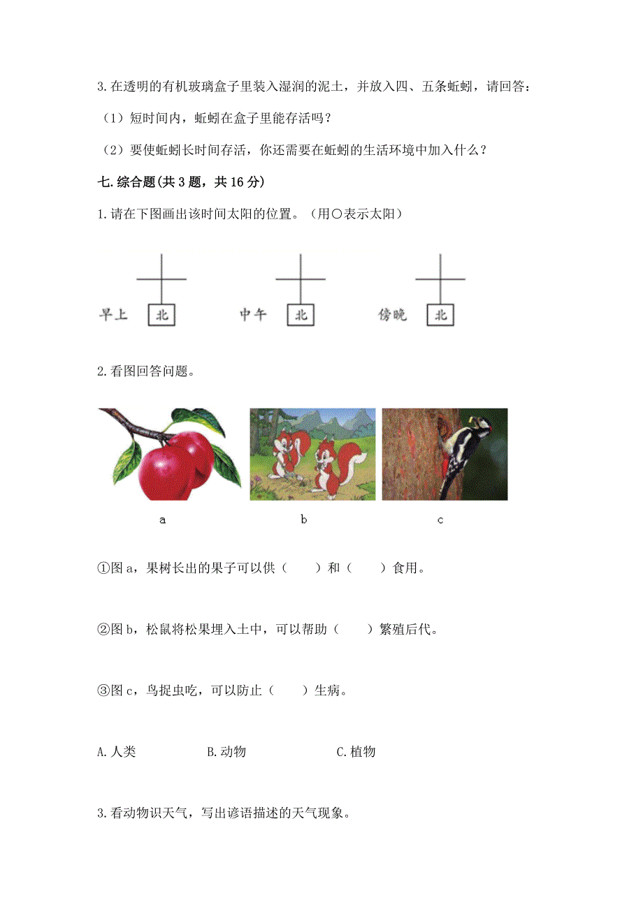 教科版小学二年级上册科学期末测试卷含答案【轻巧夺冠】.docx_第4页