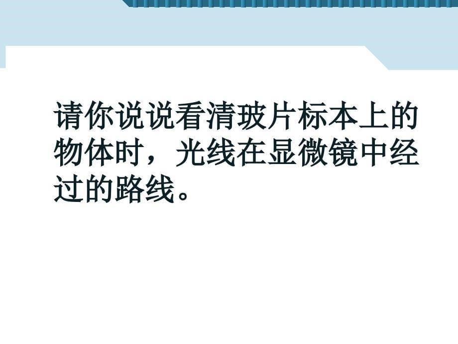 2-1-1练习使用显微镜_第5页