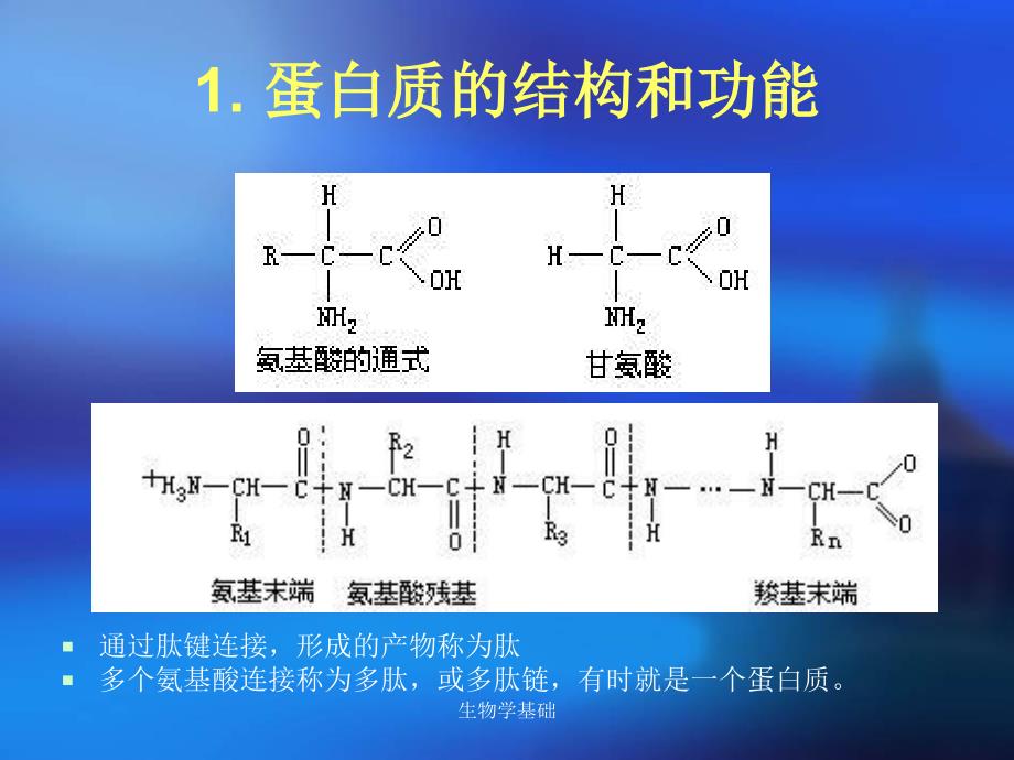 生物学基础课件_第4页