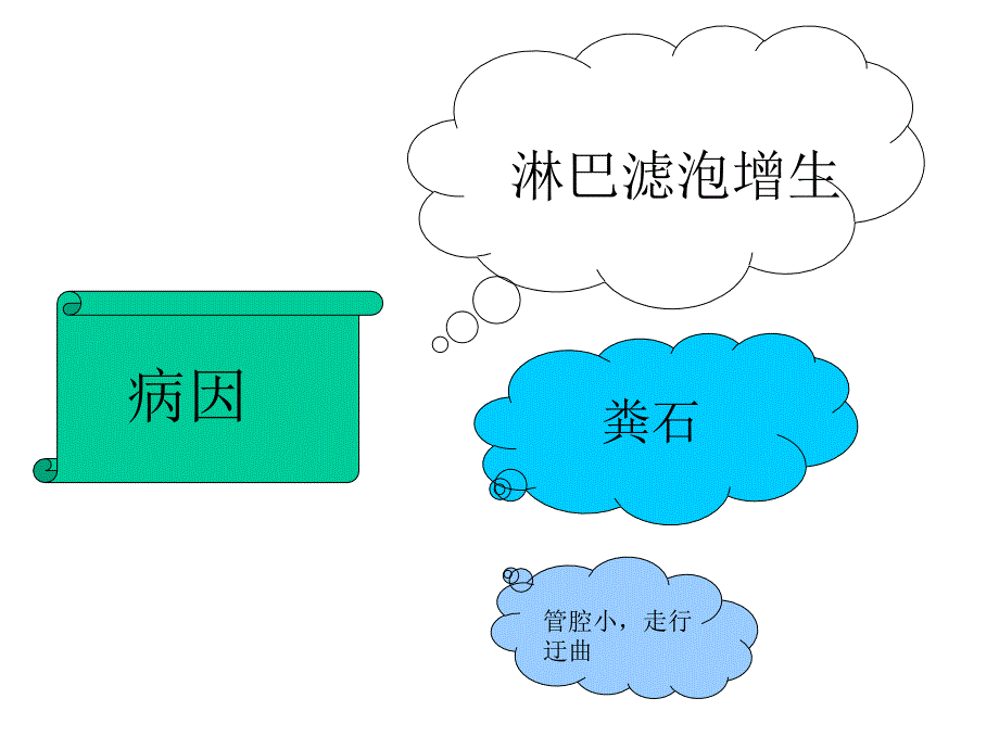 急性阑尾炎的CT诊断11976课件_第3页