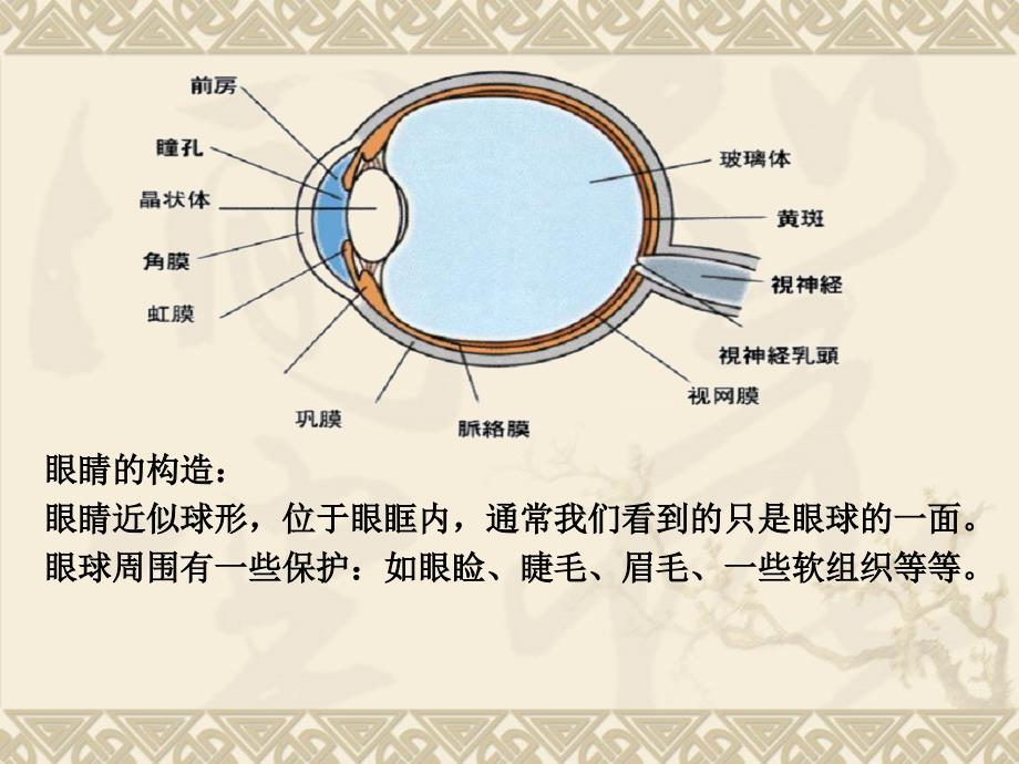 爱眼知识讲座PPT课件_第4页