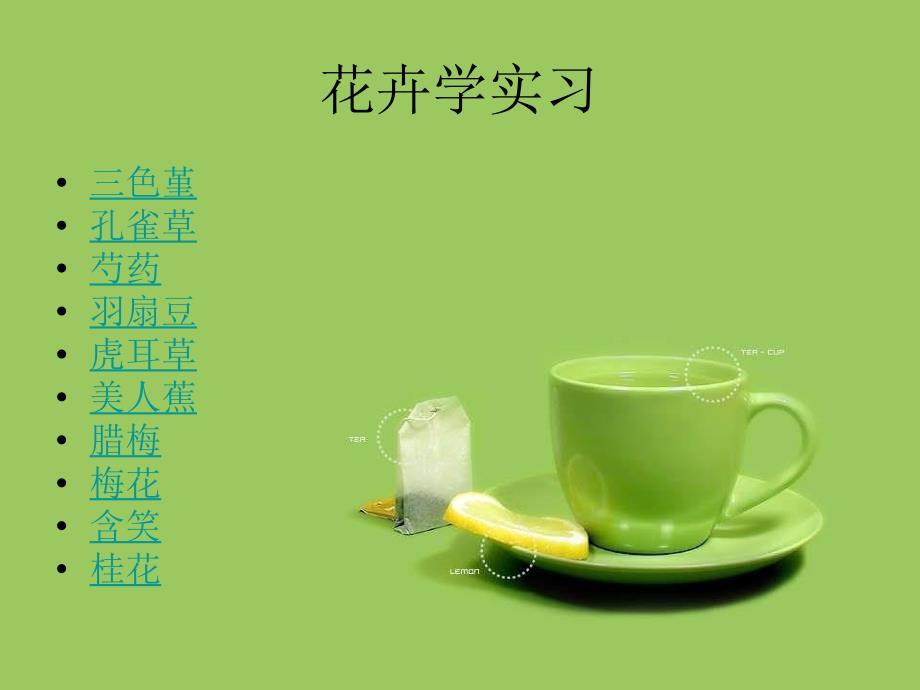《花卉学实习植物》PPT课件_第1页