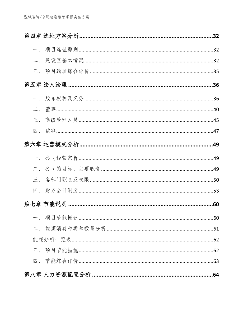 合肥精密钢管项目实施方案（范文模板）_第2页