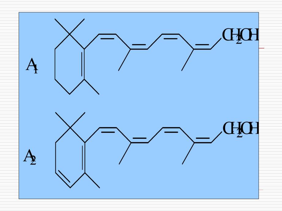 生物化学(王金福)维生素和辅酶_第4页