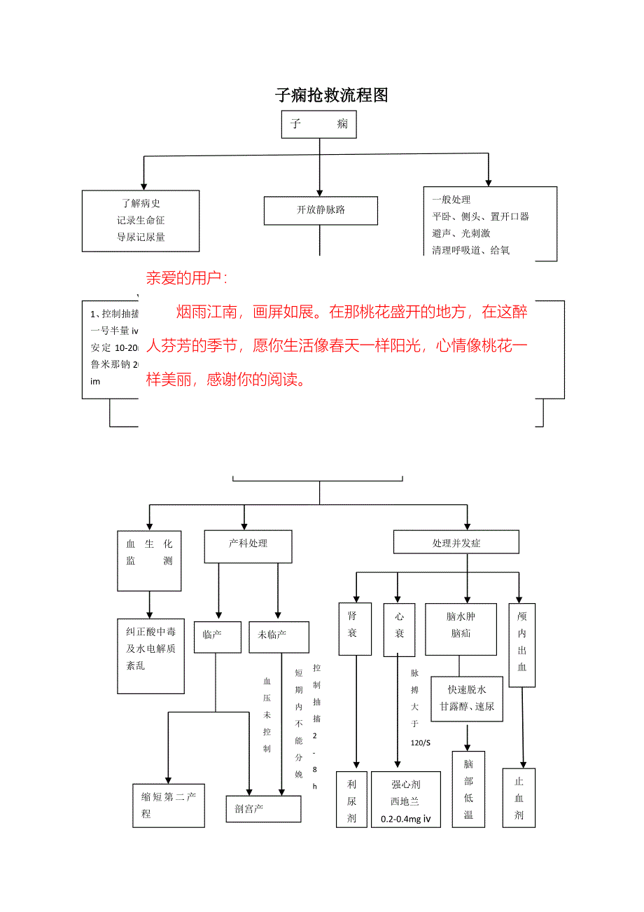 最新子痫应急预案_第3页