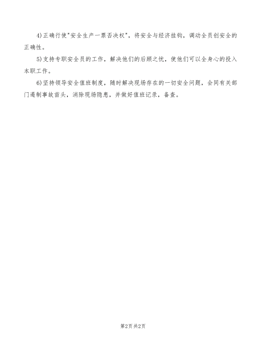 2022年安全生产领导小组安全生产责任制_第2页