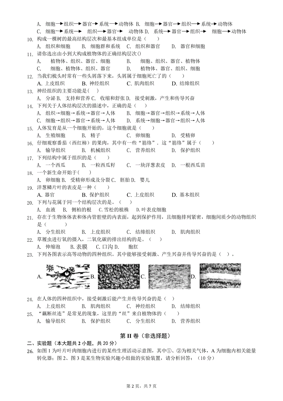 苏科版七年级生物下册第四单元第九章《生物体有相似的结构层次》测试卷(含答案)_第2页