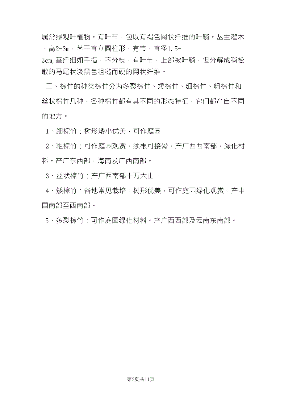 棕竹的养殖方法棕竹养护注意事项_第2页