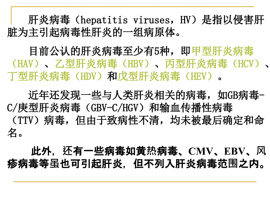 丁肝炎病毒PPT_第2页