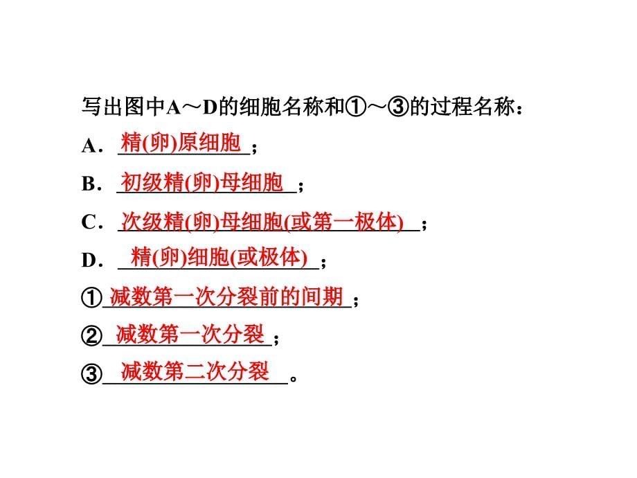 减数分裂和受精作用教材_第5页