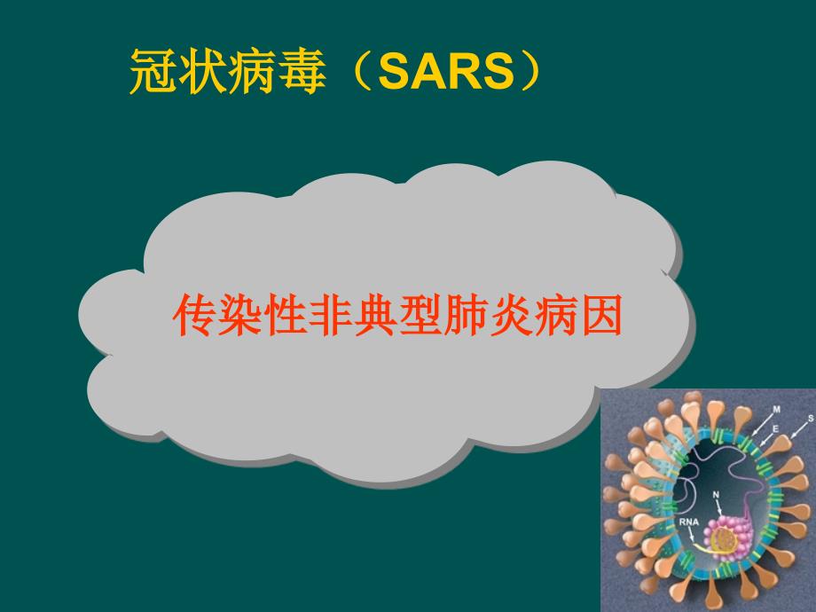 最新北工大微生物学第3章SARS2精品课件_第2页