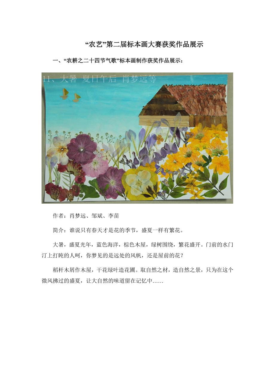 农艺第二标本画大赛获奖作品展示一农耕之二十四节气歌标本_第1页
