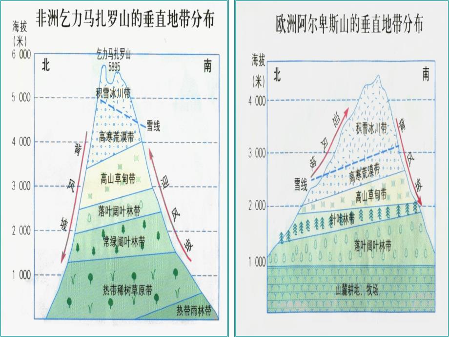 7山地垂直自然带分布图的判读课件_第3页