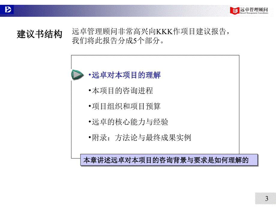 某公司的咨询报告_第3页