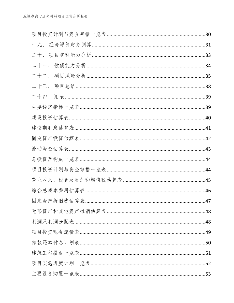 反光材料项目运营分析报告_第2页