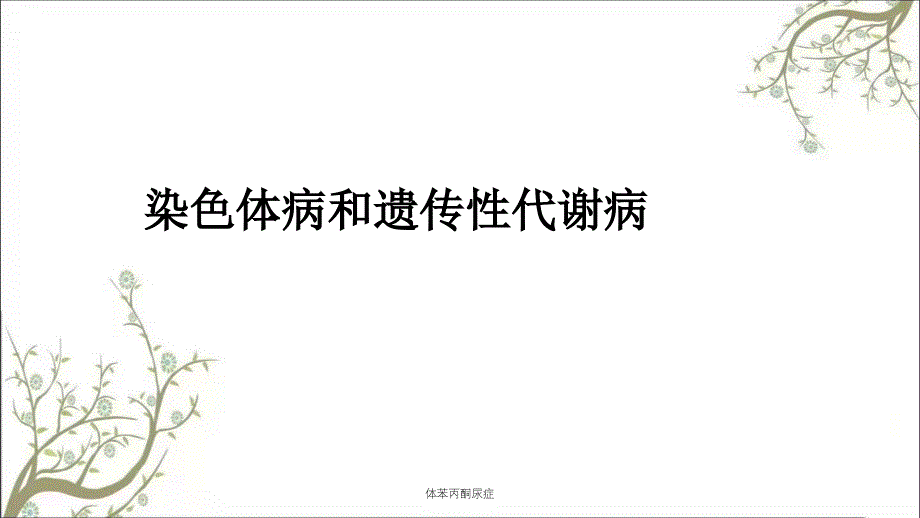 体苯丙酮尿症课件_第1页