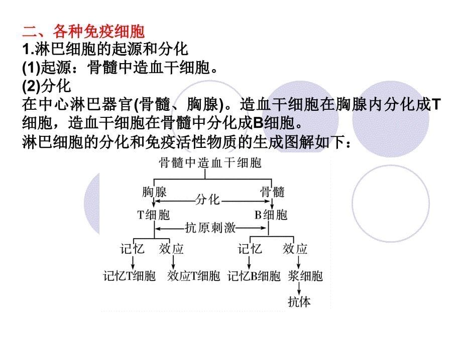 人教版必修三第2章第4节免疫调节（共81张PPT）_第5页