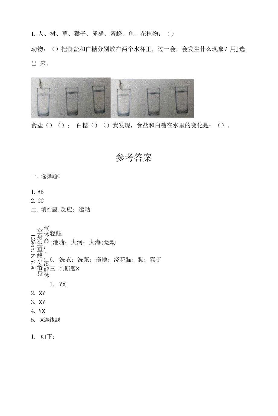 新教科版一年级下册科学期末测试卷有精品答案.docx_第5页