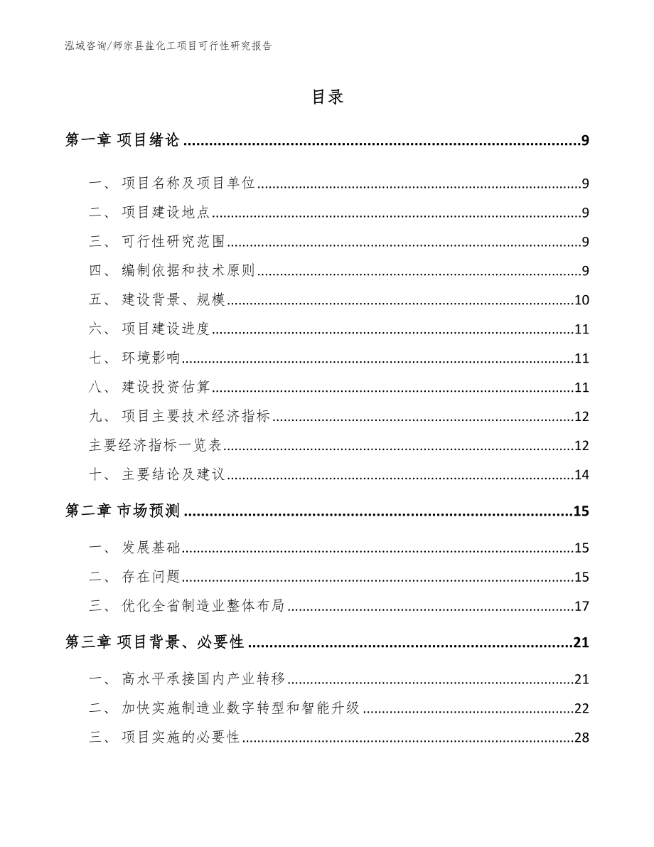 师宗县盐化工项目可行性研究报告（模板范文）_第2页