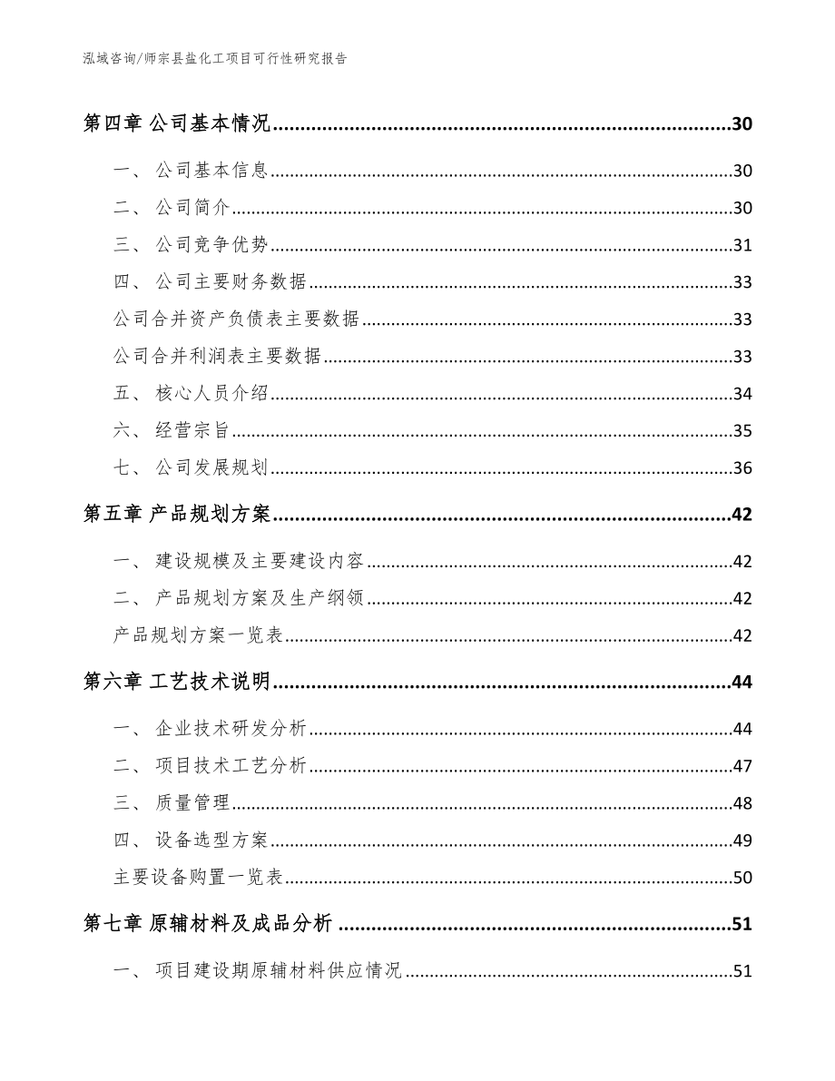 师宗县盐化工项目可行性研究报告（模板范文）_第3页