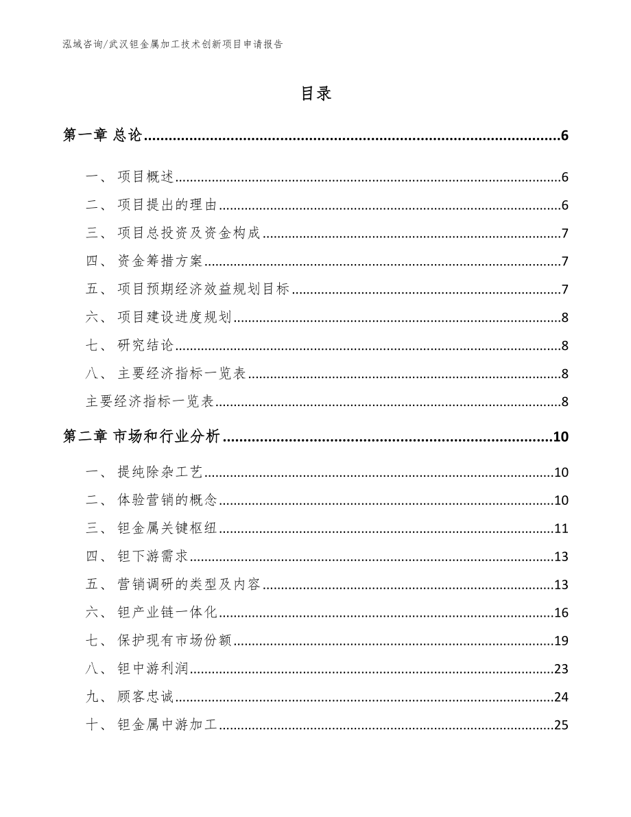 武汉钽金属加工技术创新项目申请报告_第2页