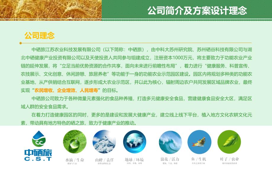 美丽方村健康农业园发展意向说明及拟合作构想PPT版本_第4页