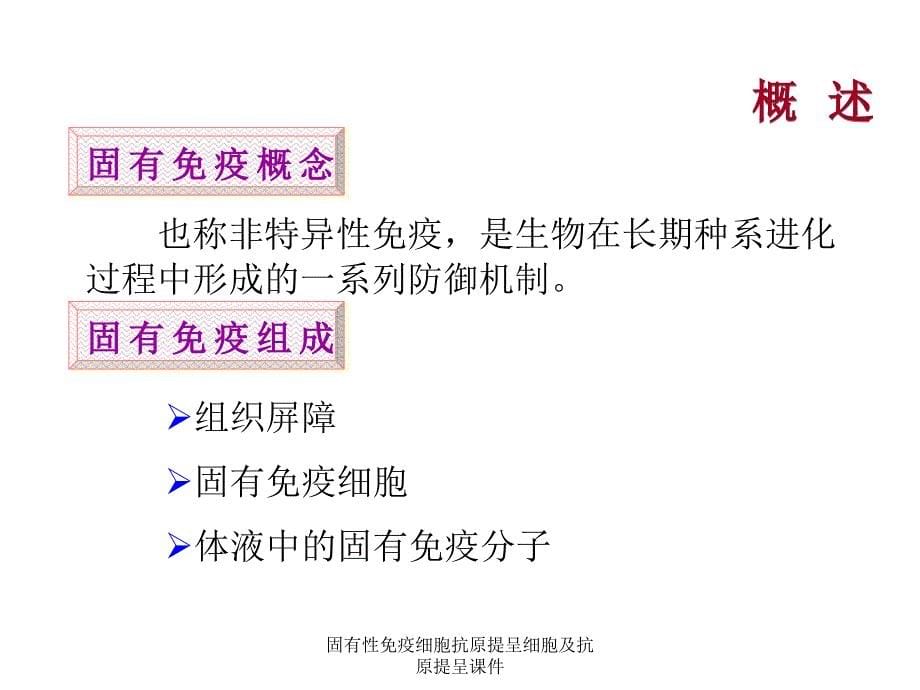 固有性免疫细胞抗原提呈细胞及抗原提呈课件_第5页