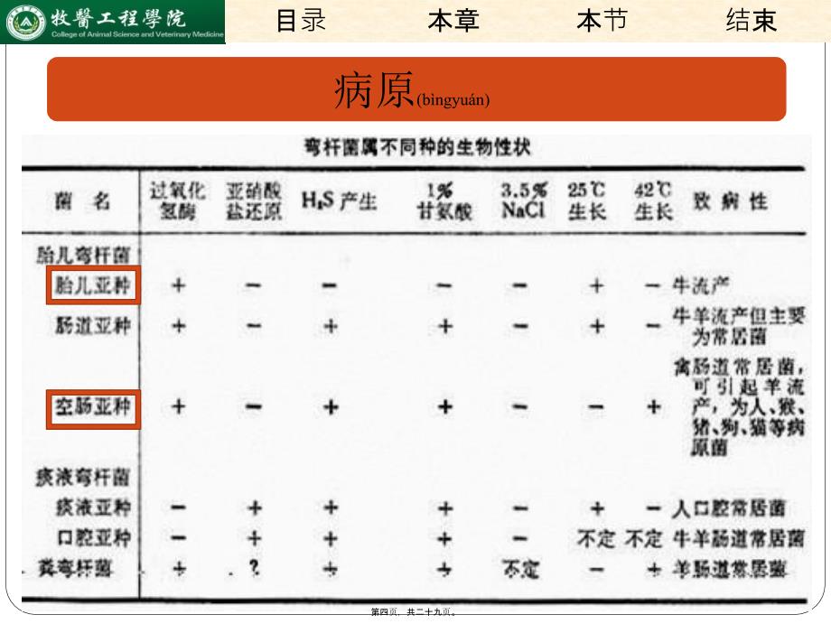 医学专题—弯曲杆菌病.26784_第4页