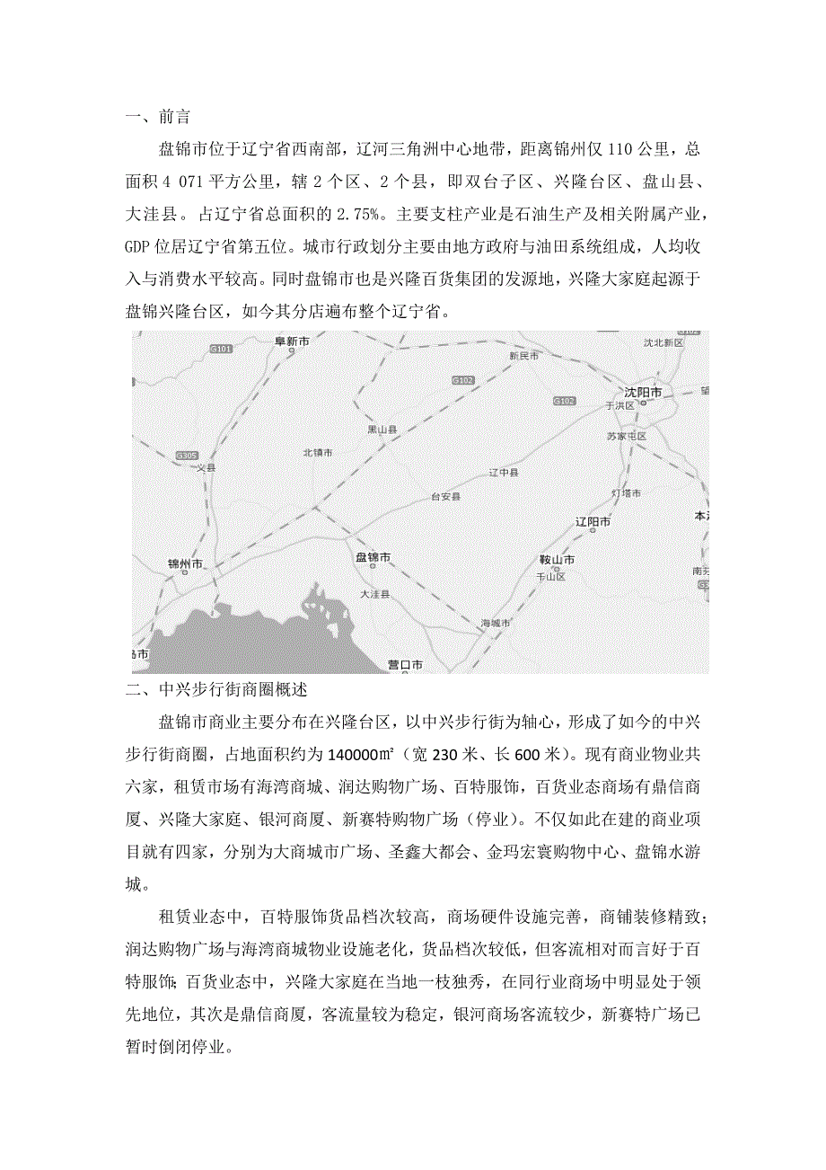 盘锦市商业调研报告_第2页