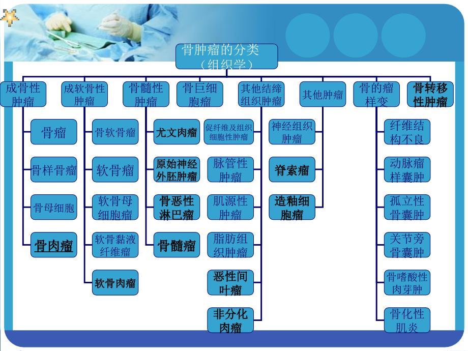 骨肉瘤的护理_第3页