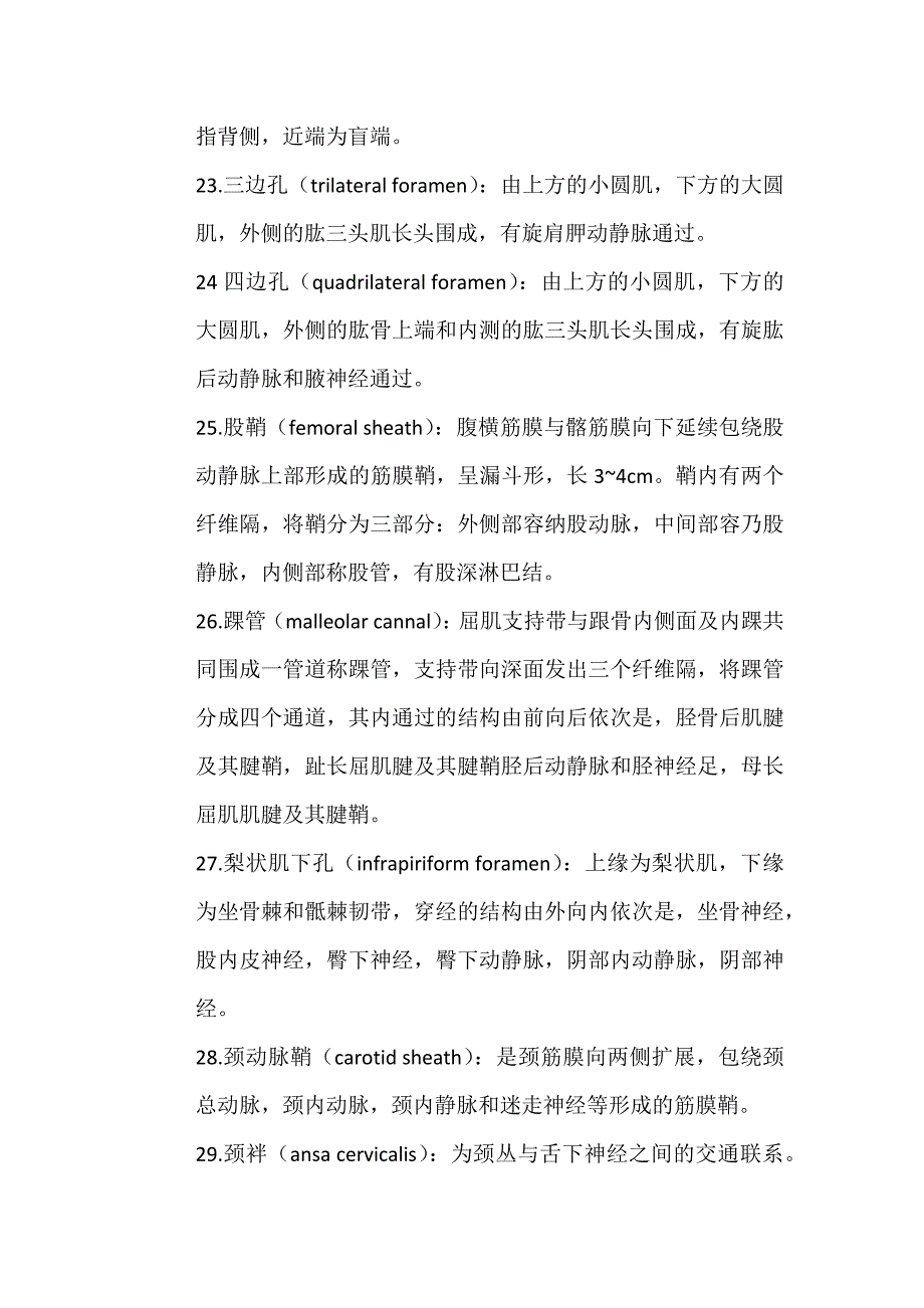 人体解剖学期末总复习提纲——名词解释_第4页