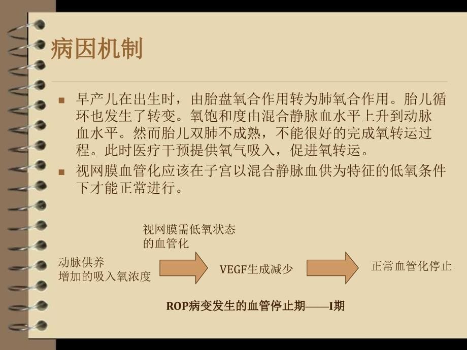 早产儿视网膜病变筛查_第5页