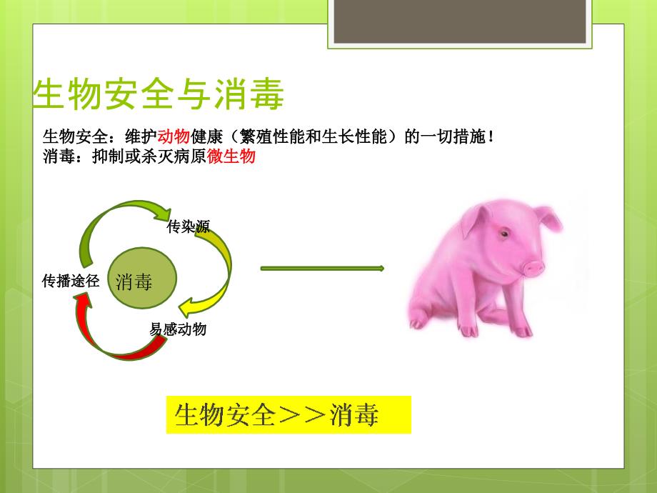 养殖场生物安全培训_第4页