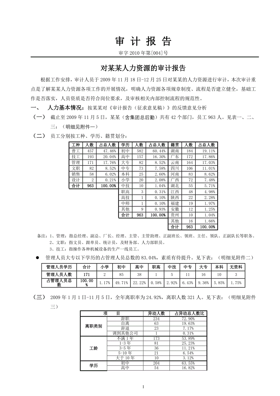 人力资源审计报告(定稿)_第1页