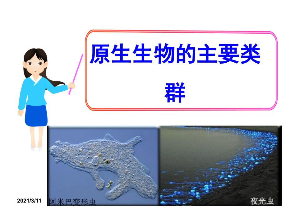 《原生生物的主要类群》课件_第1页