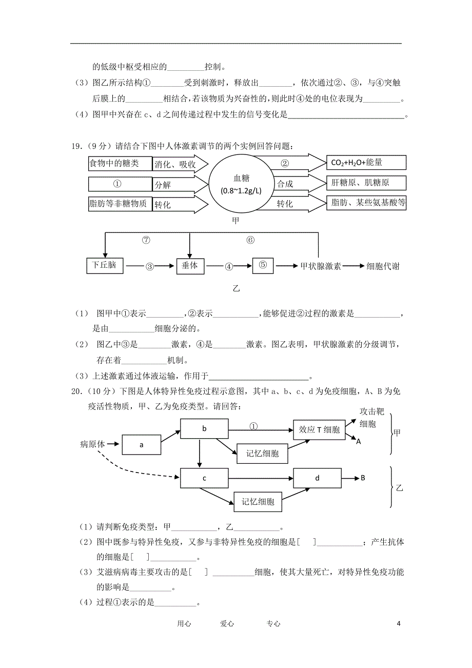 广东省东莞市1112高二生物上学期教学质量检查B卷新人教版_第4页