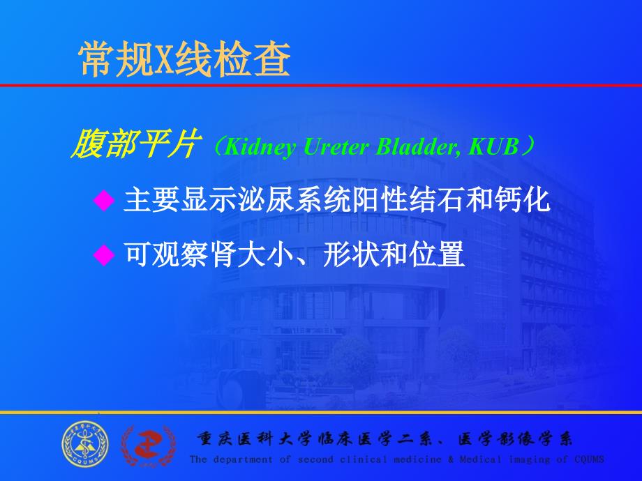 泌尿系统 PPT课件.ppt_第4页