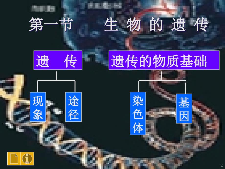 第一章生物的遗传和变异名师编辑PPT课件_第2页