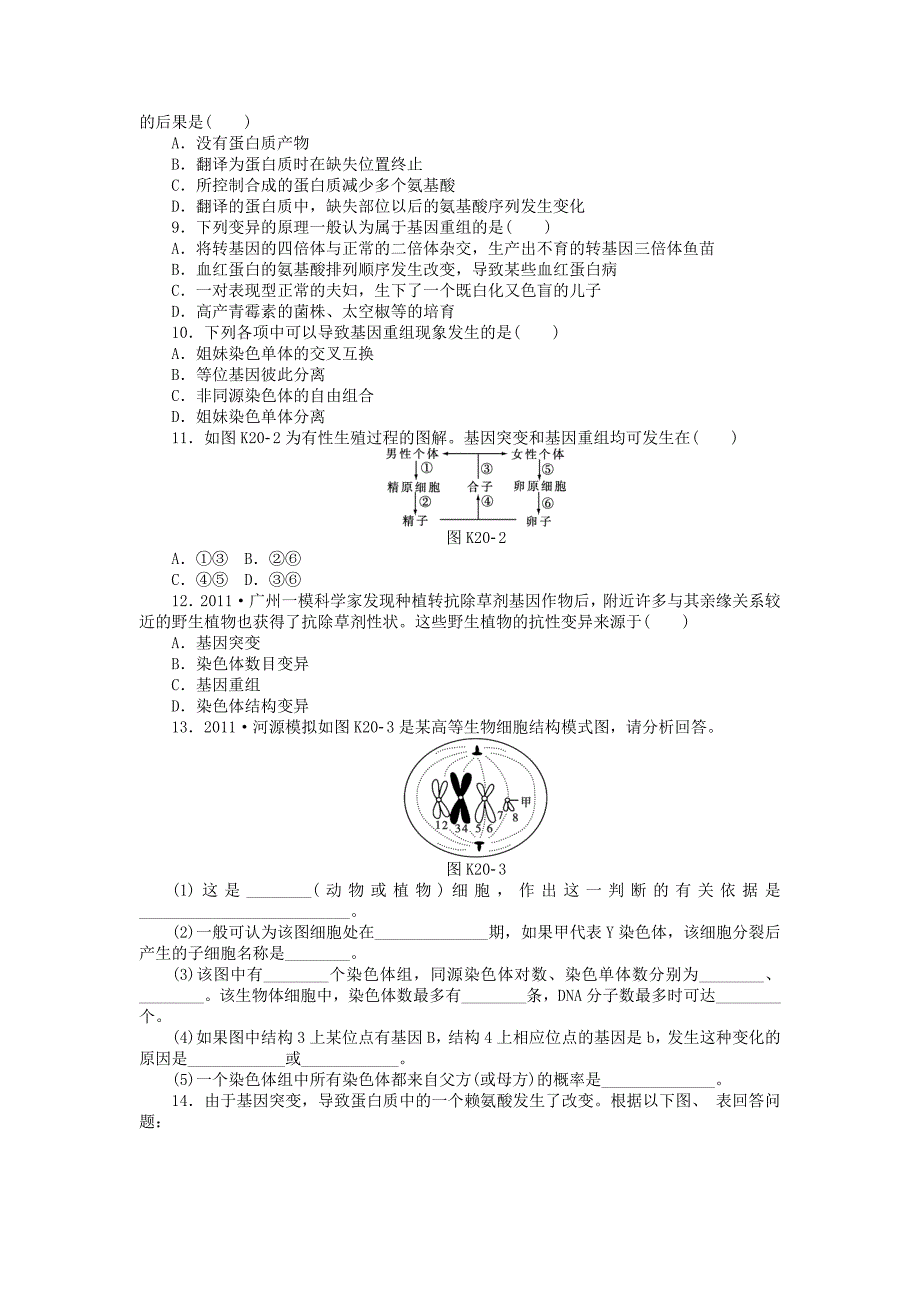 全国通用届高三一轮复习课时作业第20讲基因突变和基因重组_第2页