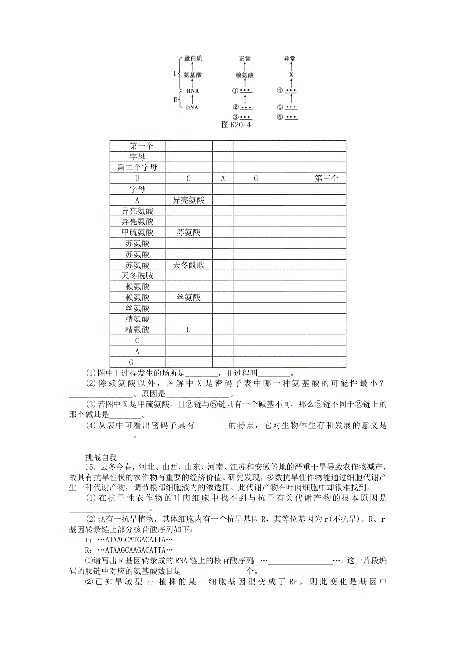 全国通用届高三一轮复习课时作业第20讲基因突变和基因重组_第3页