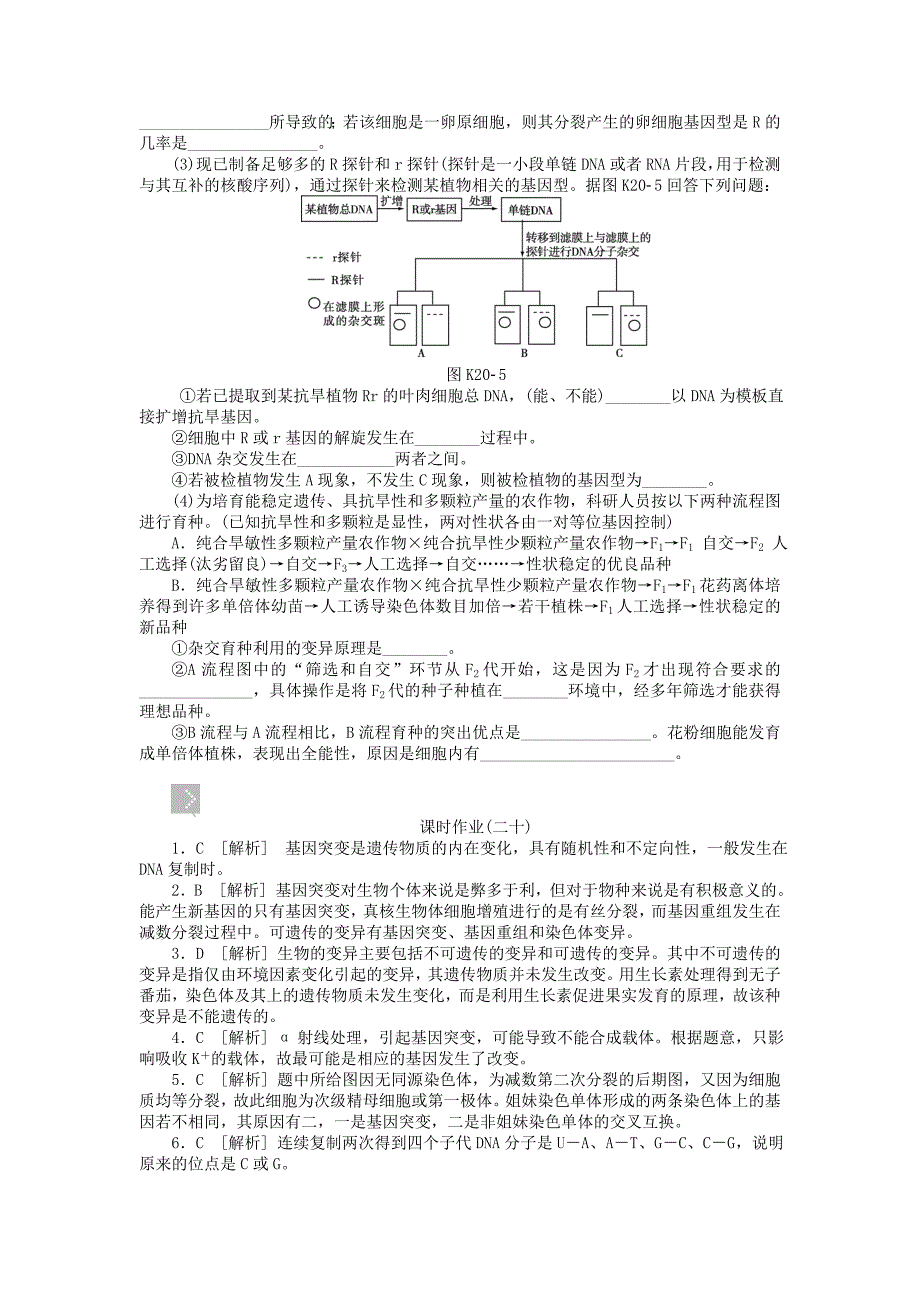 全国通用届高三一轮复习课时作业第20讲基因突变和基因重组_第4页