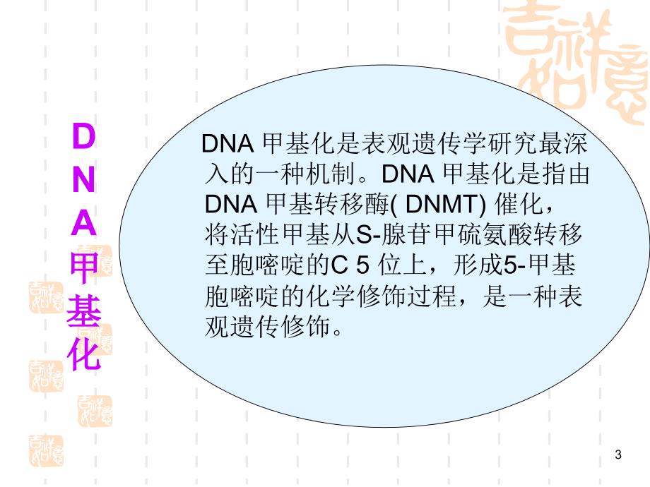 DNA甲基化与乳腺癌PPT课件_第3页