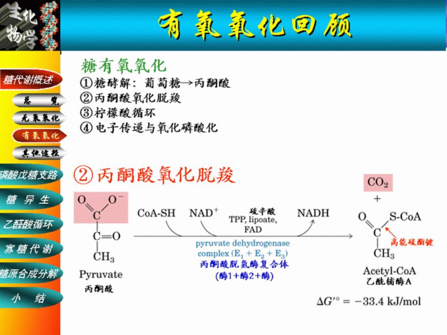 糖代谢ppt课件_第4页