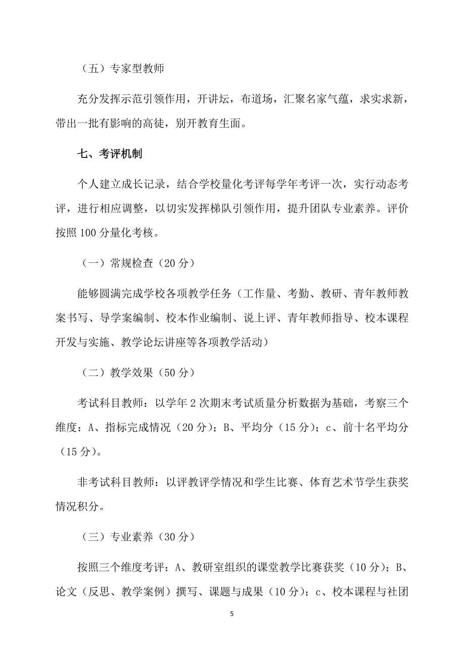 中学教师梯队建设实施活动方案_第5页