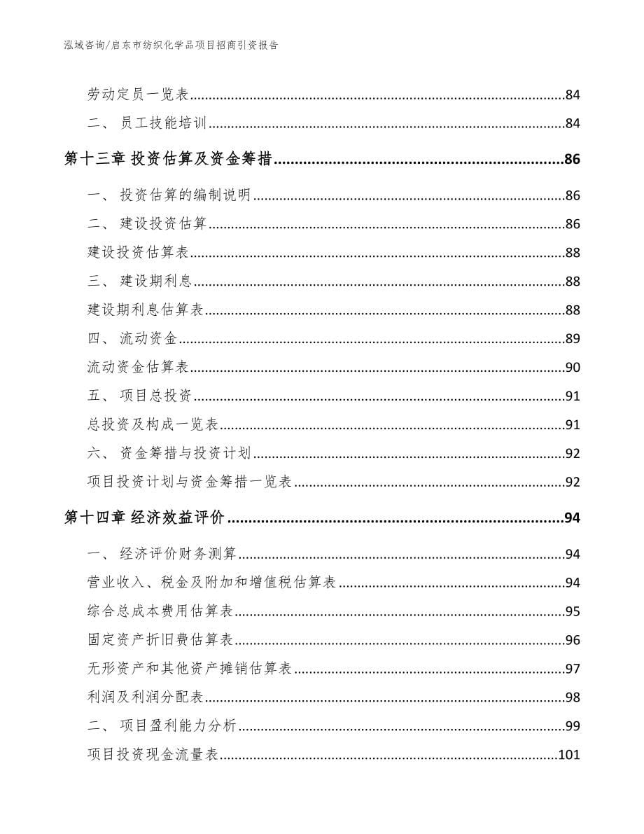 启东市纺织化学品项目招商引资报告范文模板_第5页