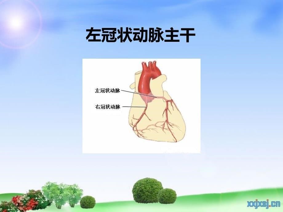 心肌死心电图与血管定位ppt课件_第5页