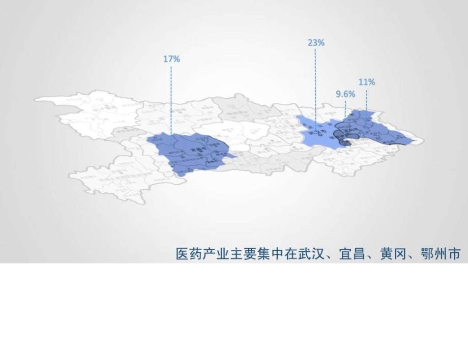 湖北药品生产企业报告_第4页